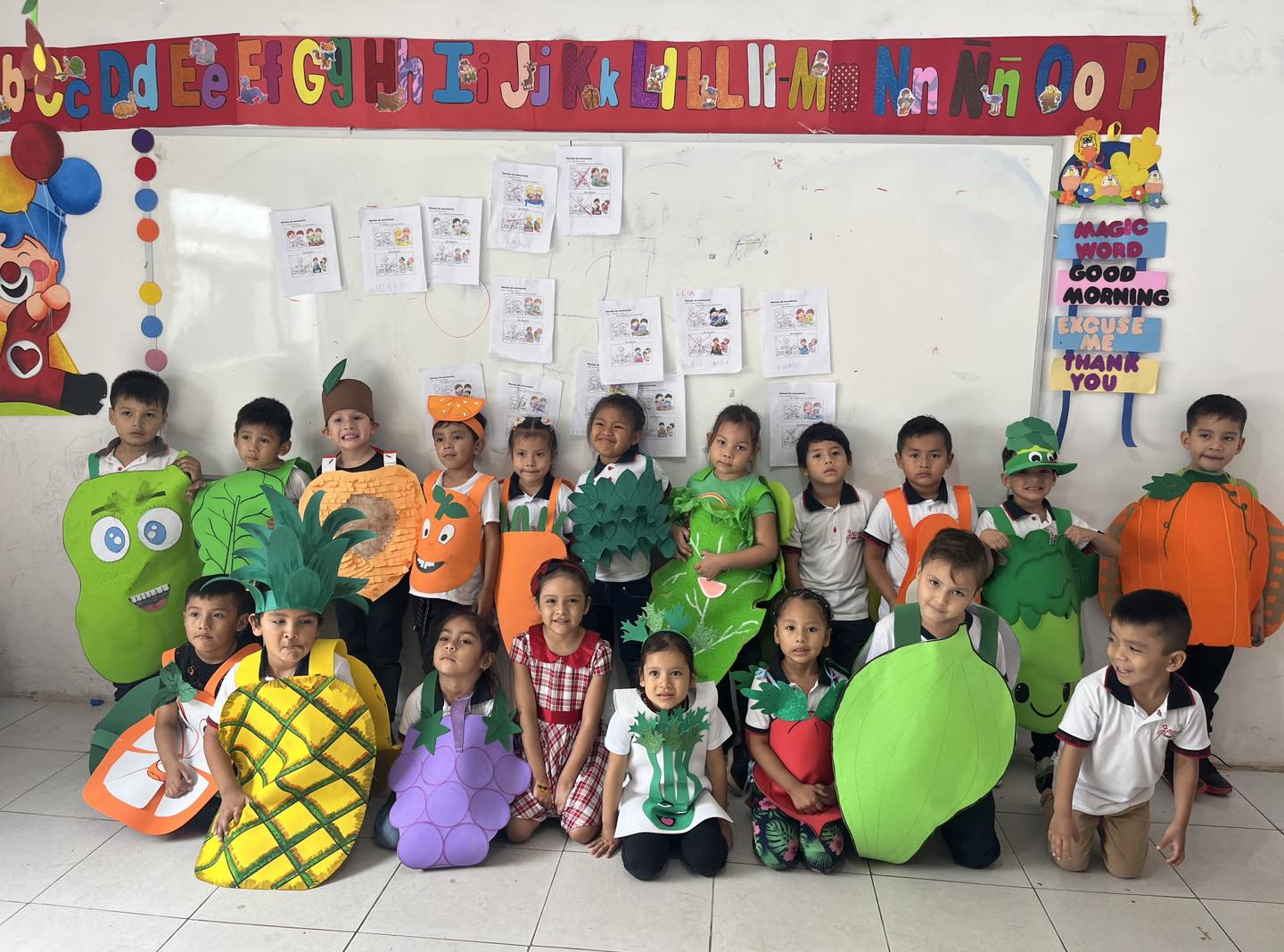 Curso Inicial Aizama