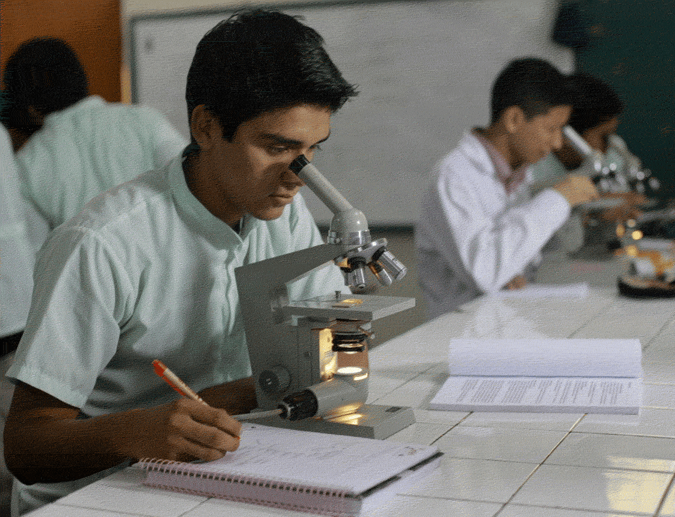 Laboratorio Biologia Aizama